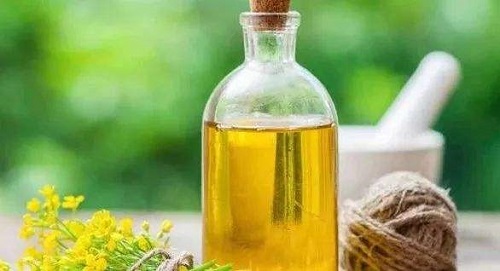 雙象榨油機 雙象榨油機